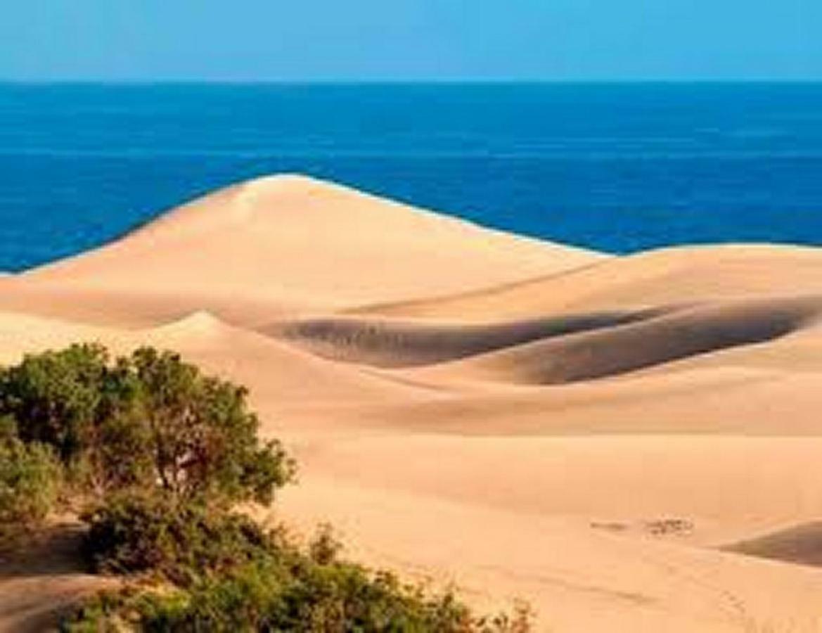 Bungalow Duna Flor Maspalomas Маспаломас Экстерьер фото